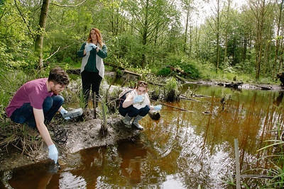 Students collecting water samples in the wetland