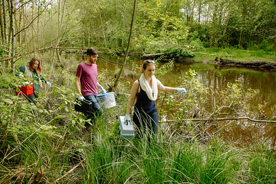 Students collecting water samples in the wetland