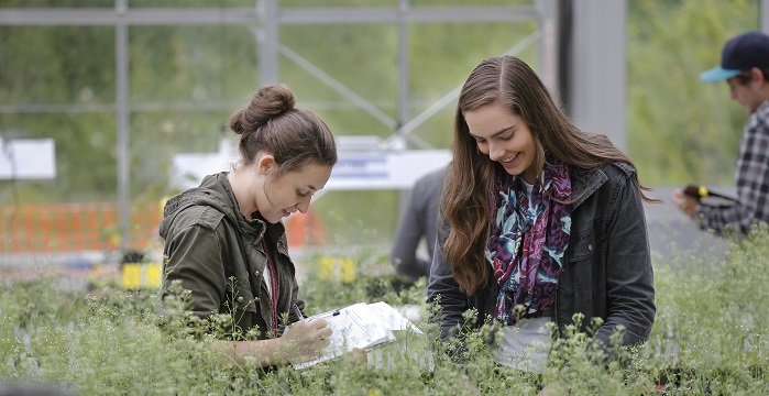 Students studying plants in the greenhouse