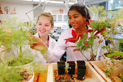 students working with plants in a lab