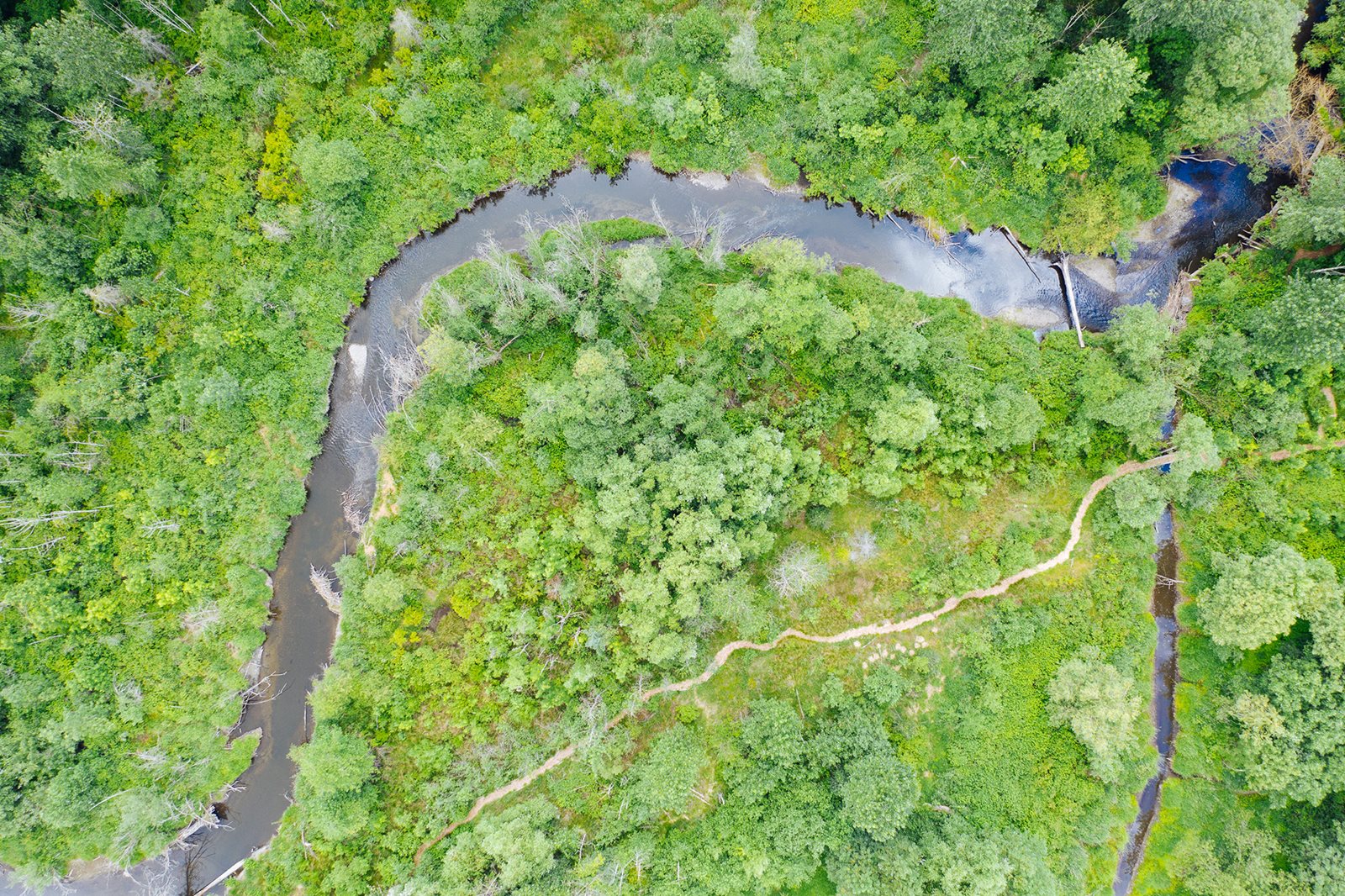 Ariel view of the wetlands