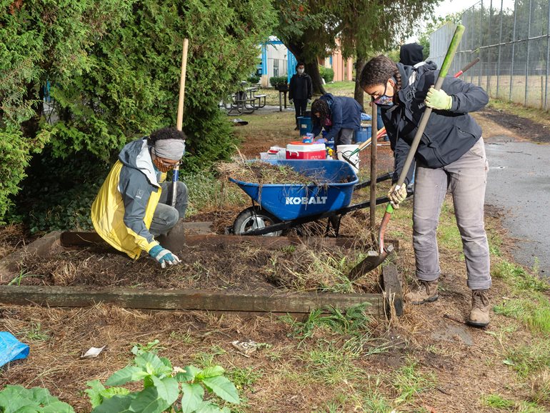 Digging in the garden