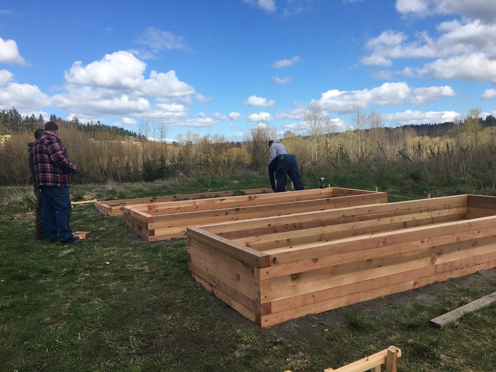 raised garden beds