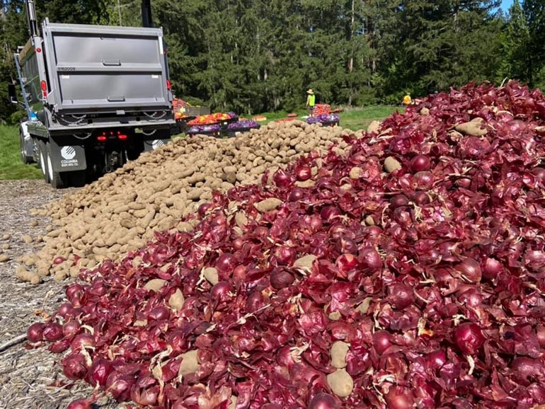 A mound of red onions