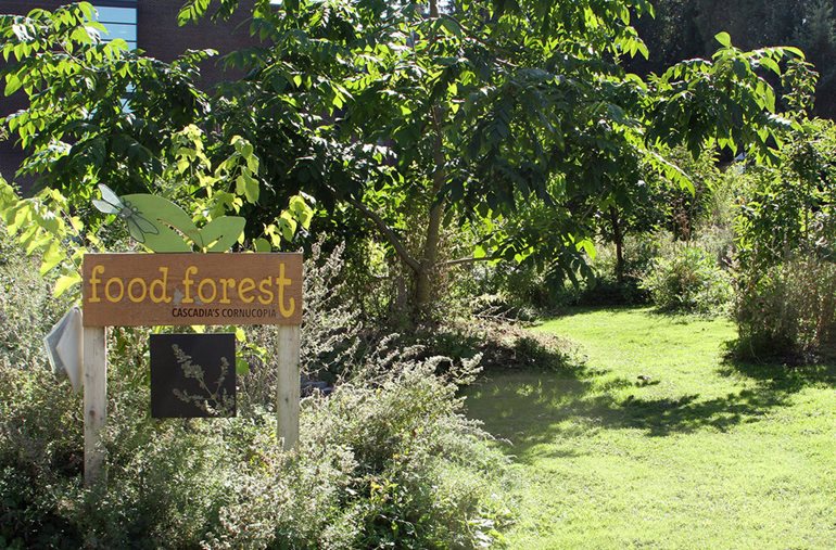 The Cascadia Food Forest 