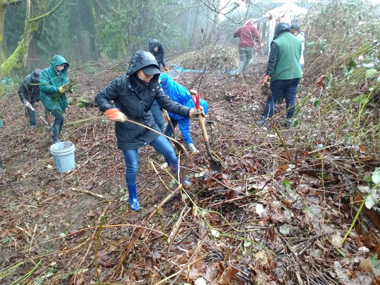 Students work at restoration project in North Creek Forest.