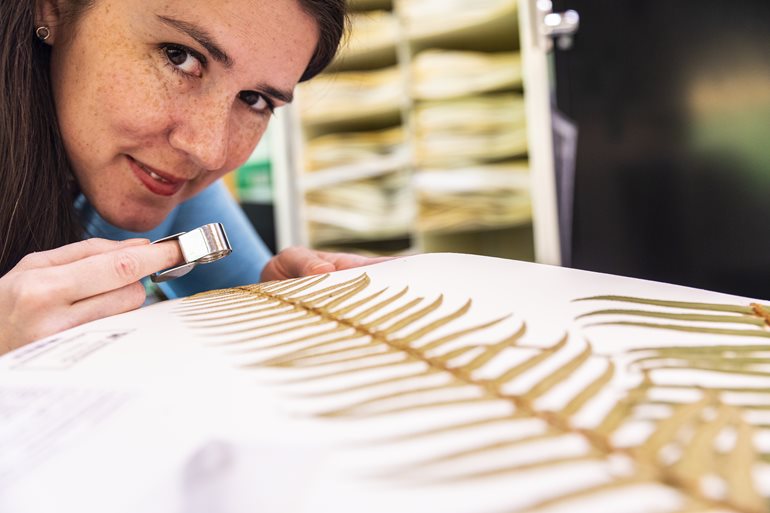 Sarah Verlinde examines a fern.