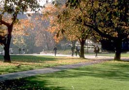 Seattle Campus in Fall