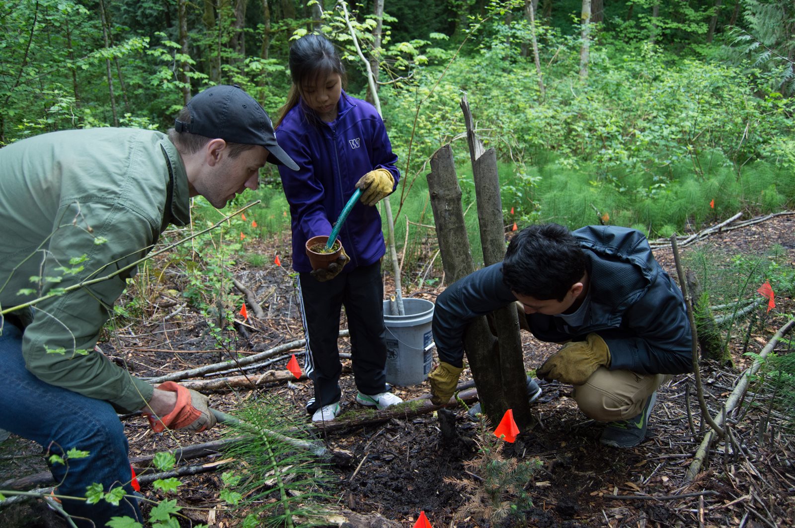 students work in forest