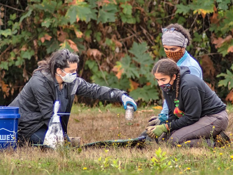 Three people working on their knees in the garden