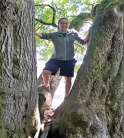 Mira Catlin explores a park tree.