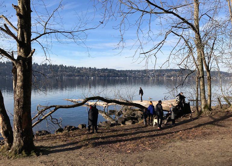 Lake Washington shoreline at St. Edward park