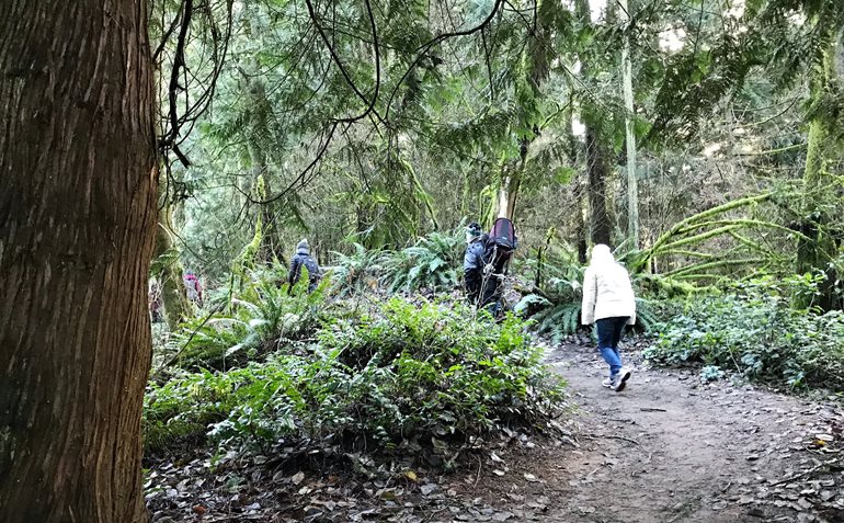 A trail in Saint Edward State Park