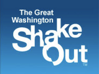 shakeout