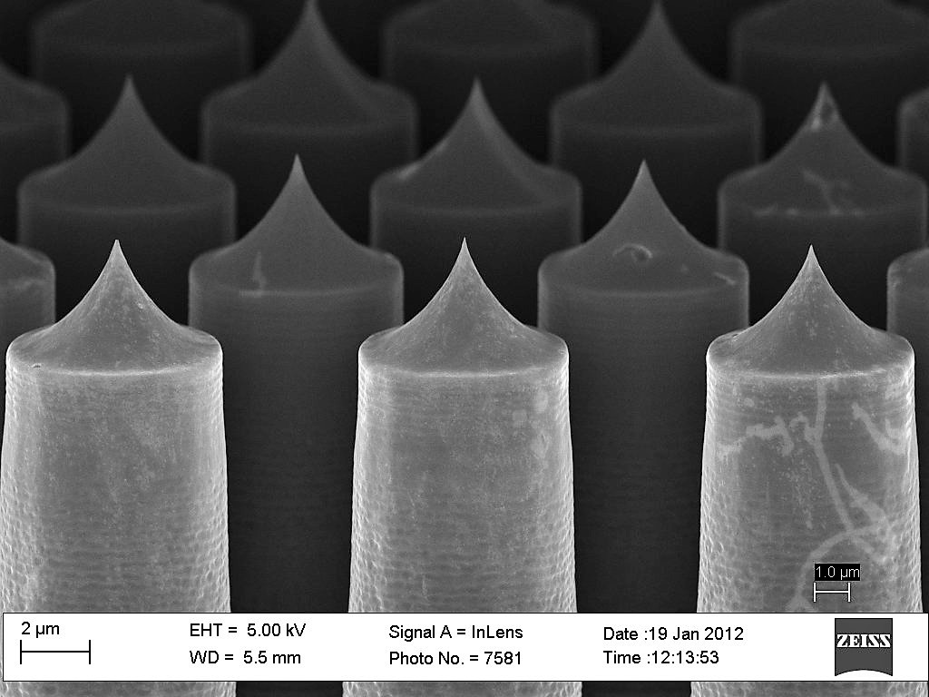 Silicon nanoneedles