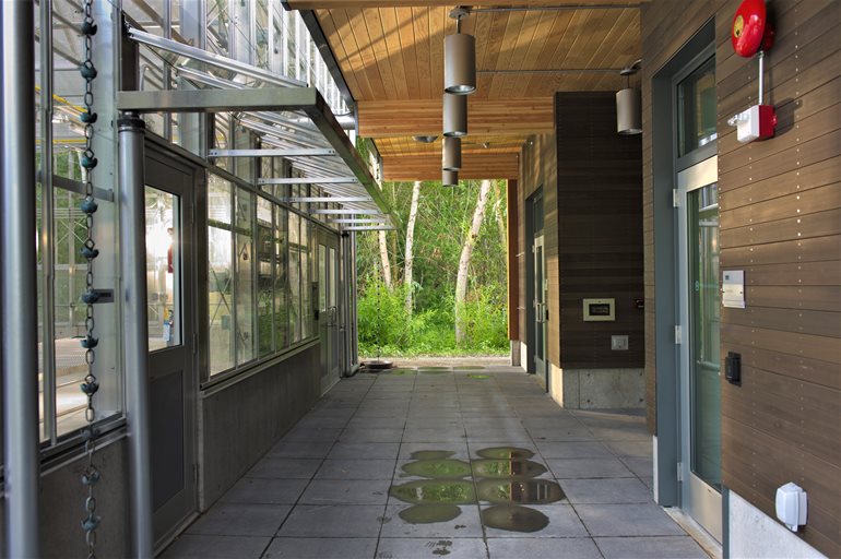 Walkway between greenhouse and classroom.