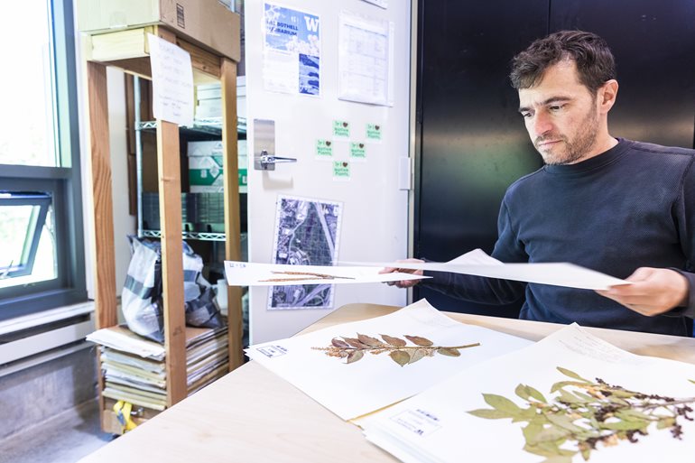 Tyson Kemper pages through herbarium.