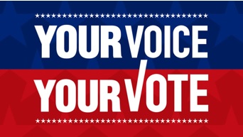 Your voice, your vote graphic