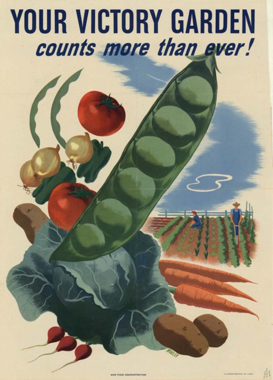 Victory garden poster